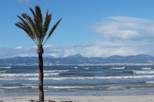 mallorca, winter, playa de palma